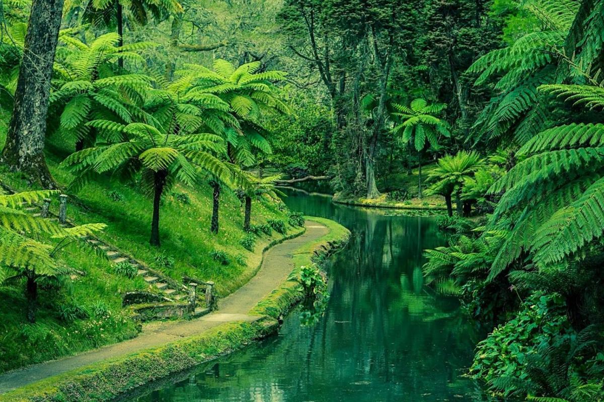 Furnas Nest Villa Dış mekan fotoğraf